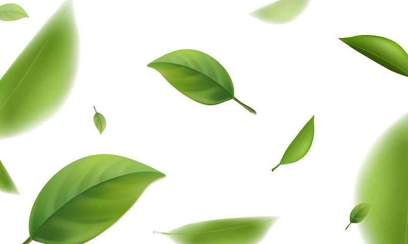 模糊的绿叶飞行在白色的背景，3d现实的矢量插图。图片下载