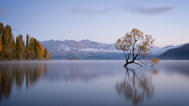 新西兰瓦纳卡清晨的那棵孤独的树。图片下载