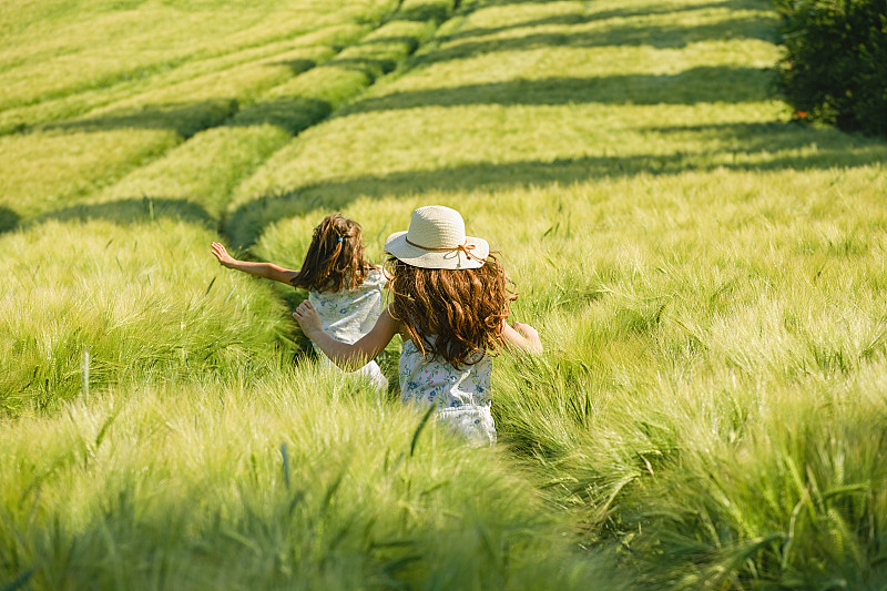顽皮、无忧无虑的女孩们在阳光明媚、田园般的乡村绿色麦田里奔跑图片素材