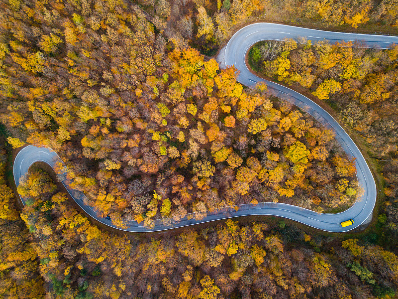 无人机:空中公路旅行-秋天的森林图片下载
