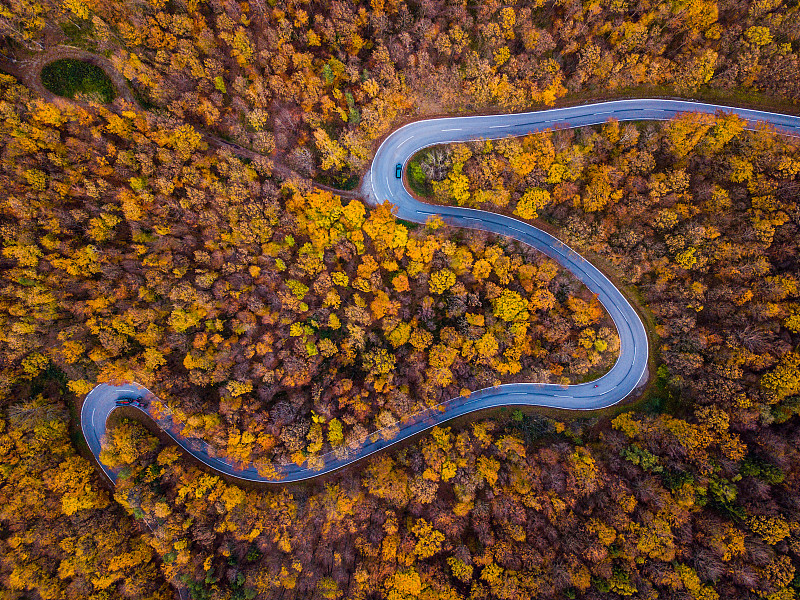 无人机:空中公路之旅——五彩缤纷的秋天森林里弯曲的乡村公路图片下载