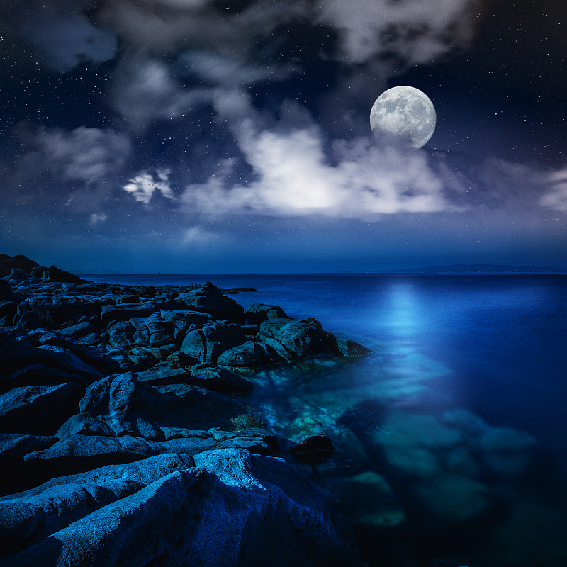 夜晚大海和月亮的壮丽景色图片下载