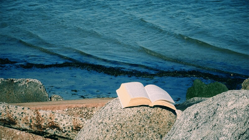 沙滩上被风翻动的书页图片下载