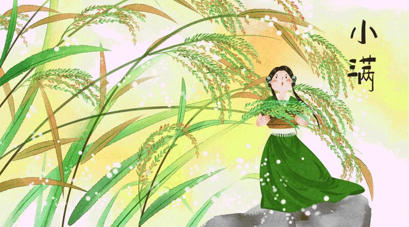水彩风格古风娃娃与植物二十四节小满插画动图图片下载