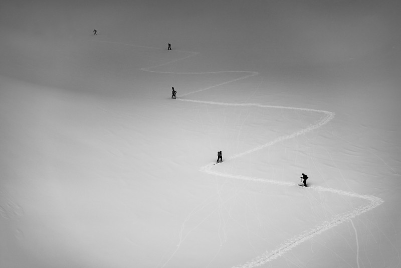 冬季越野滑雪的小组图片素材