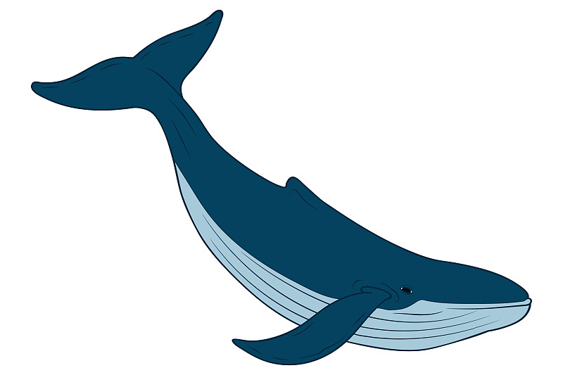 快乐的鲸鱼卡通图片素材
