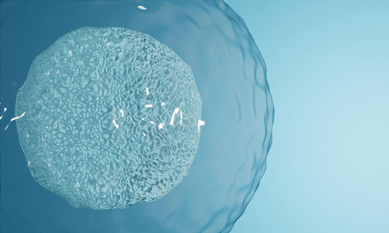 显微镜下的生物卵子卵细胞图片下载