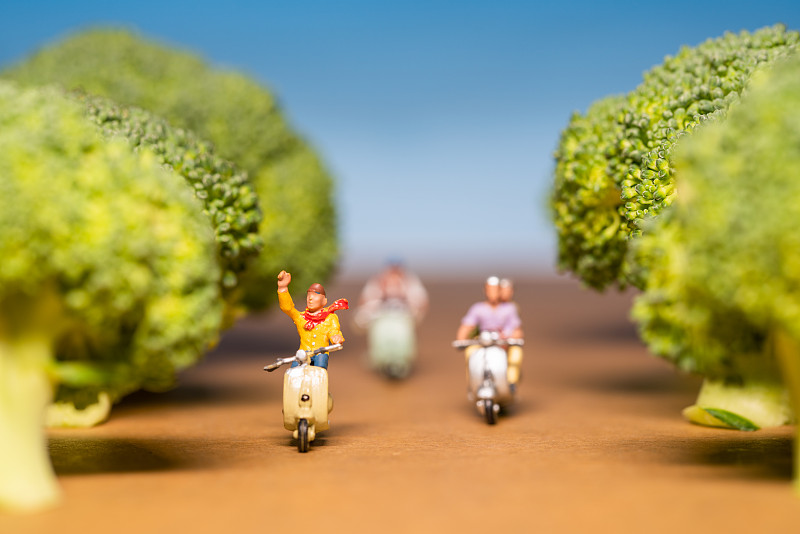 在路上骑摩托车的玩偶模型图片素材