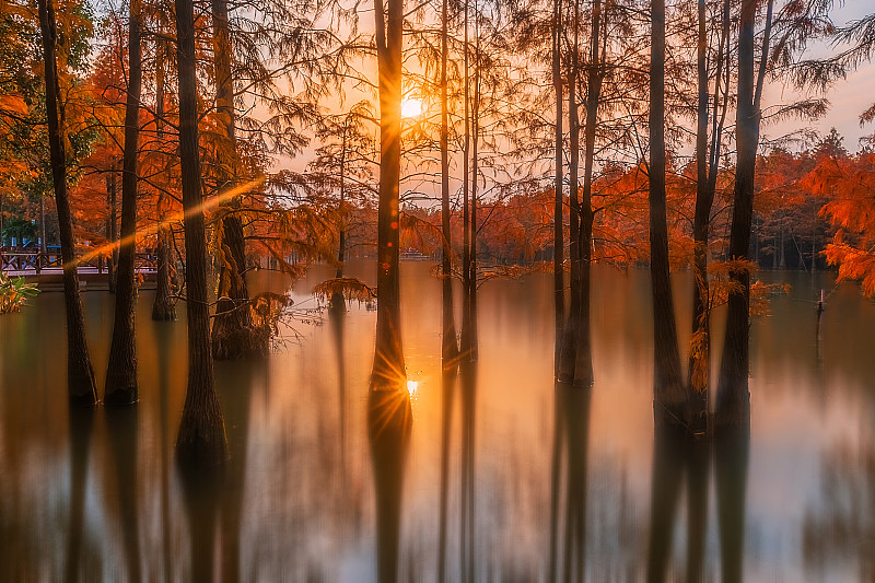 初冬的尚湖，深秋的风景图片素材