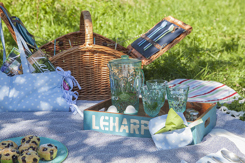 水壶，玻璃杯和手工缝包在野餐毯上图片下载