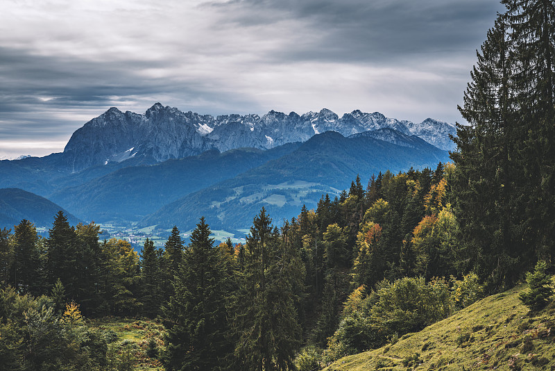 在奥地利Kssen, Kitzbuhel, Kossen, Tyrol的秋天里看到的更狂野的凯撒图片下载