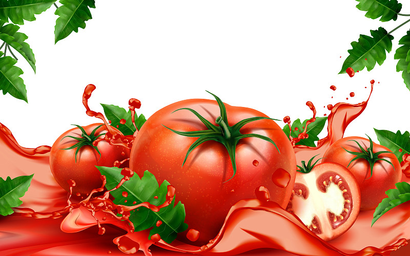 番茄传播概况背景图片