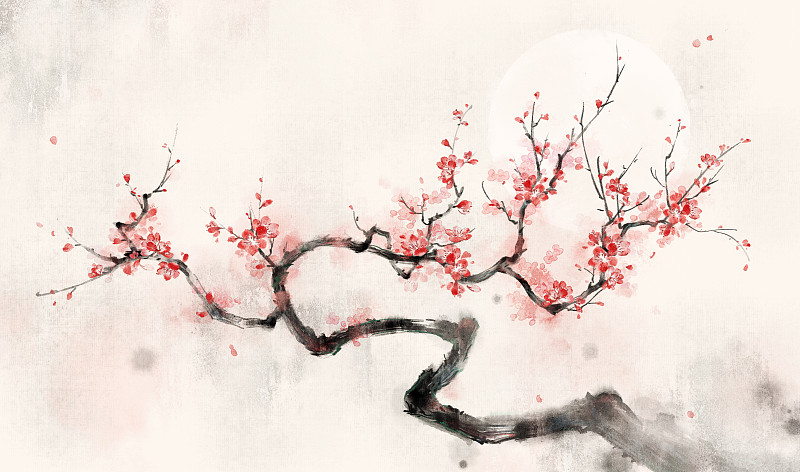 红梅—中国风古风水墨水彩插画插图图片