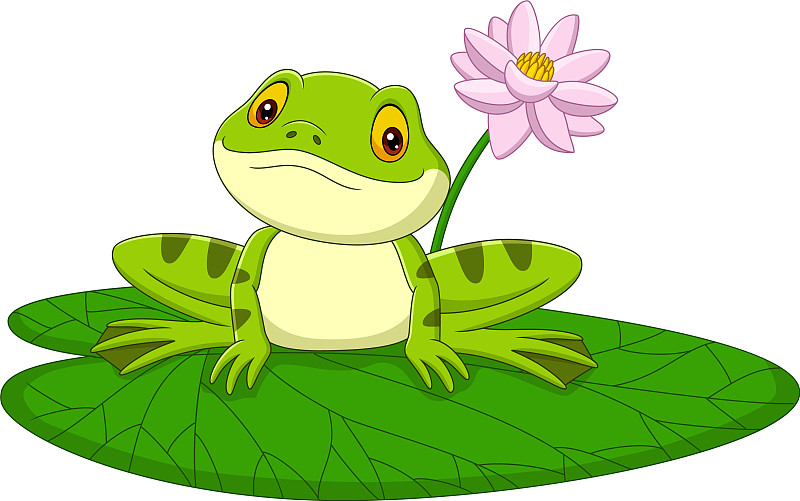 卡通的绿色青蛙坐在树叶上图片