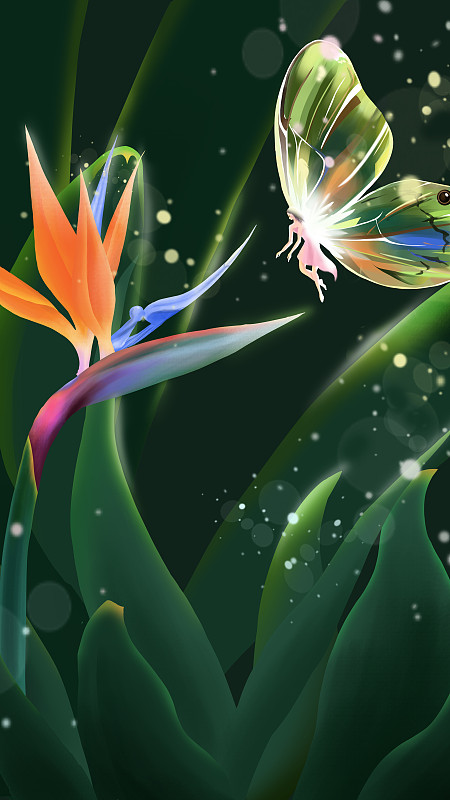 雨露下的植物天堂鸟与晶莹蝴蝶梦幻插画图片