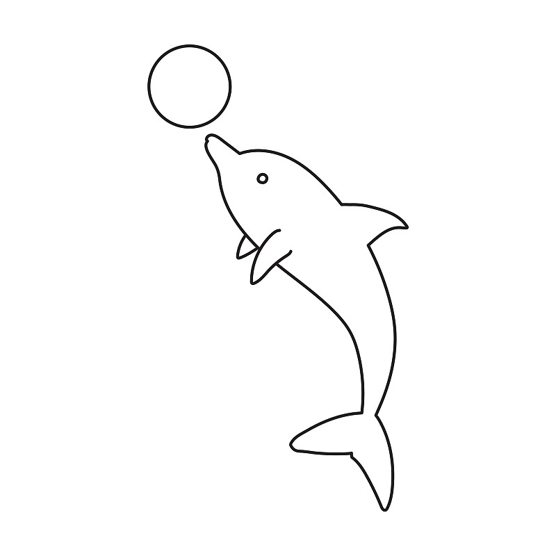 两只海豚玩球简笔画图片
