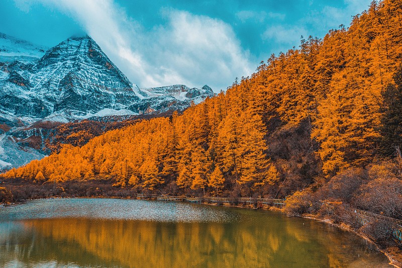 川西 甘孜州 稻城亚丁秋色 秋季风光航拍图片下载