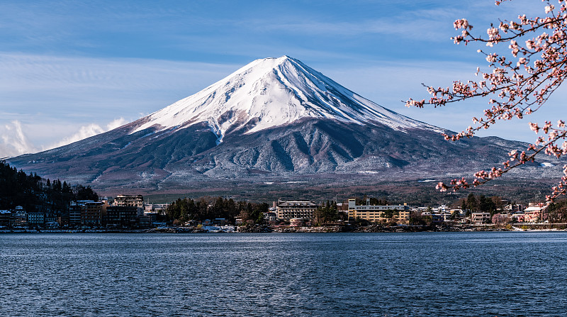 前一天被满天大雪打过的樱花，雪后的富士山在朝阳里依然美丽壮观图片下载
