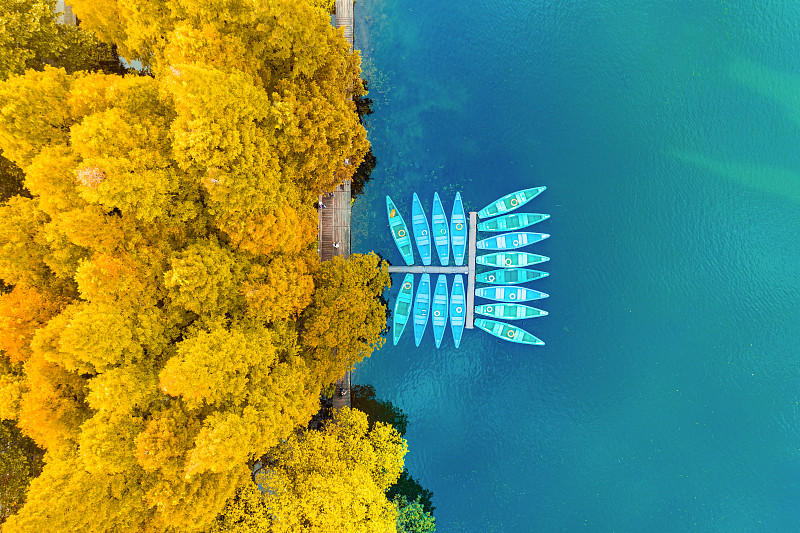 杭州西湖杨公堤秋季景色航拍图片下载