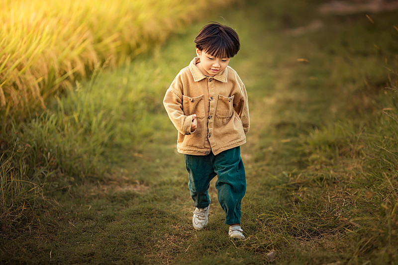 金秋十月一个小男孩在田间快乐的奔跑嬉戏图片素材