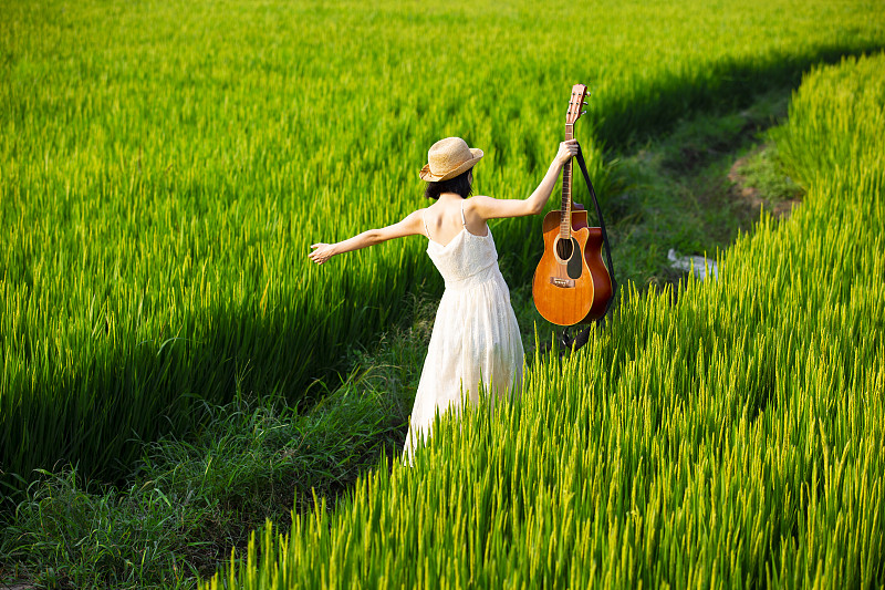年轻女子拿着吉他走在稻田里图片下载
