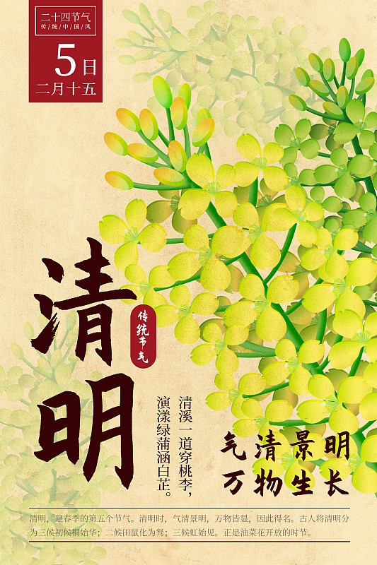 二十四节气新中式植物海报-05清明-油菜花图片下载