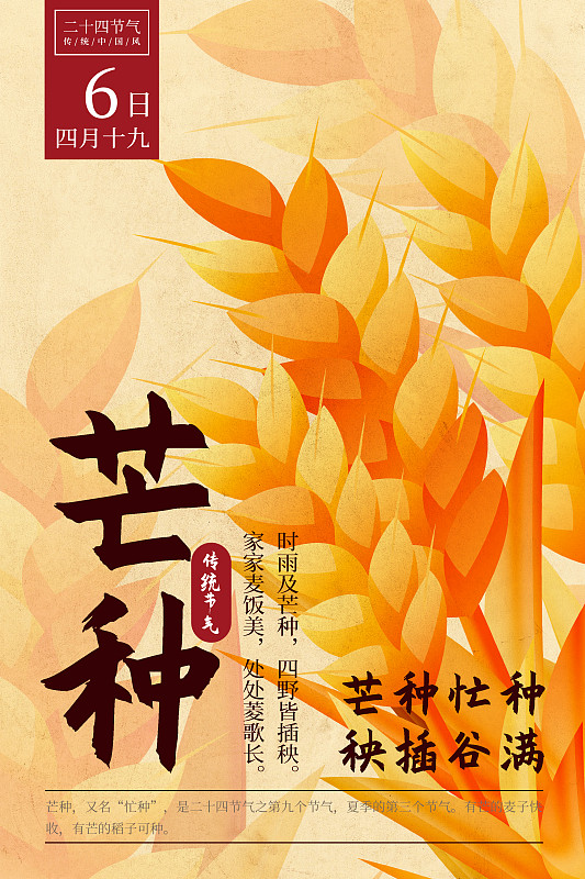 二十四节气新中式植物海报-09芒种-黄麦图片下载
