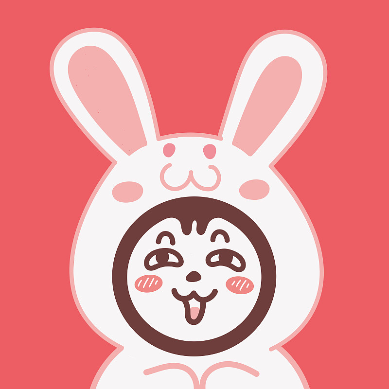 可爱卡通十二生肖IP设计兔子插画，兔年新年春节节庆科普宣传动物广告插画下载
