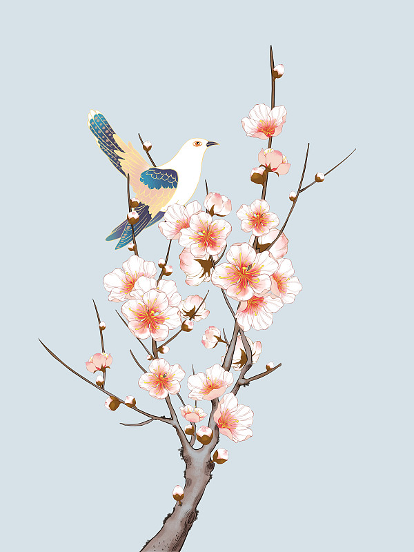 新中式风格杏花与布谷鸟装饰插画下载