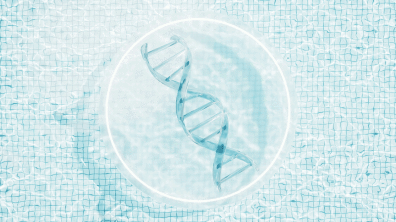 水面DNA结构医疗护肤品循环动画3D渲染插画下载
