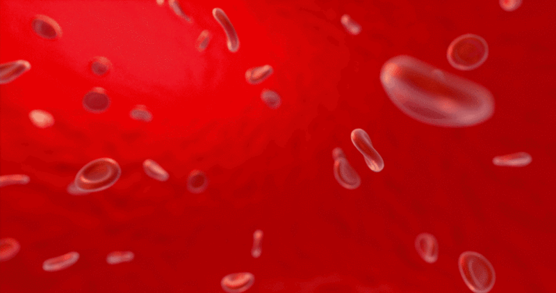 血液中的血细胞插画下载