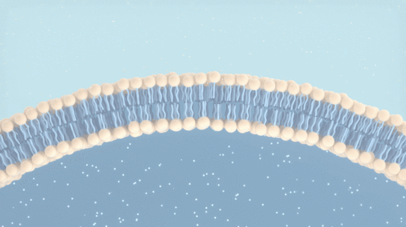 细胞膜与分子结构3D渲染图片下载