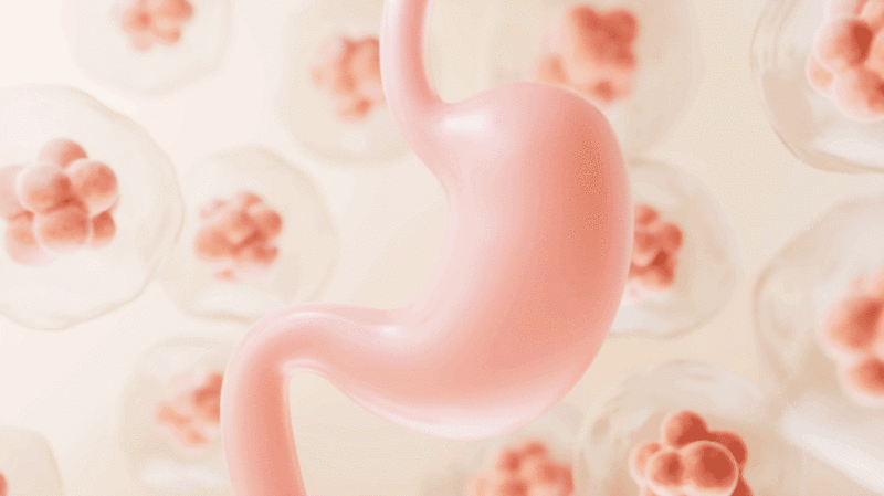 胃部与生物细胞背景3D渲染图片下载
