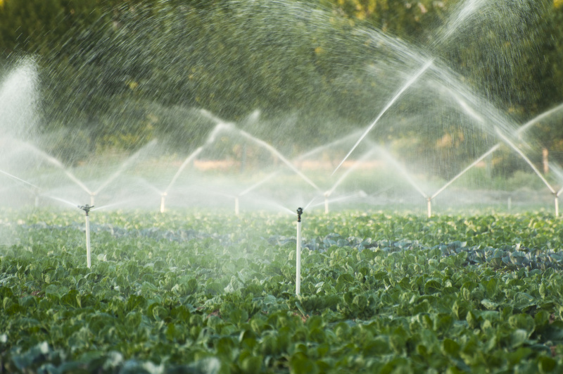 菜园中的灌溉系统图片素材