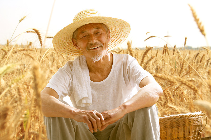 老年农民坐在田埂上休息图片下载