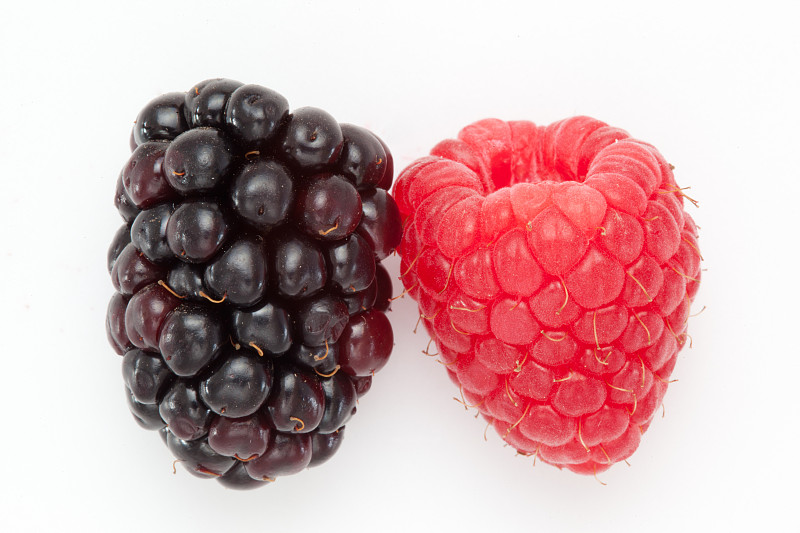 黑莓和覆盆子映衬着白色的黑底图片下载