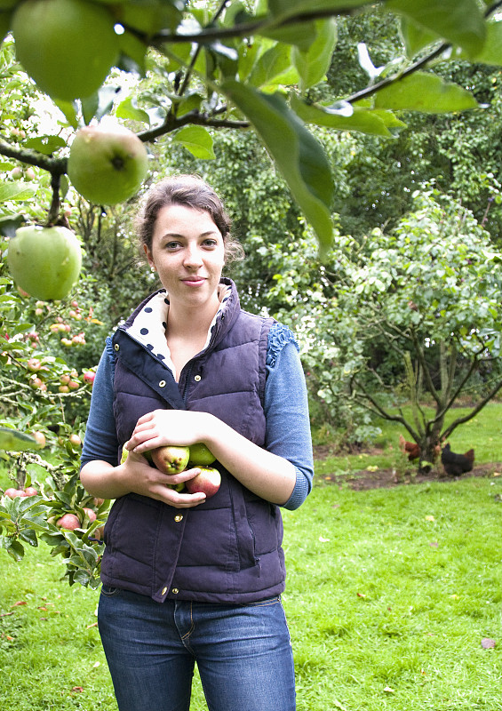 在果园里摘苹果的女人图片下载