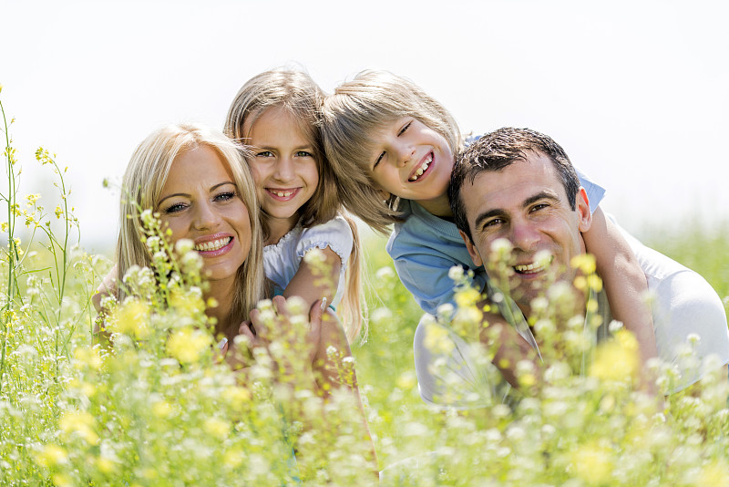 一家人微笑着躺在野花中看着相机。图片下载