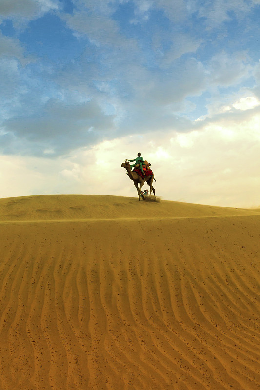 印度Jaisalmer沙漠的骆驼骑士图片素材