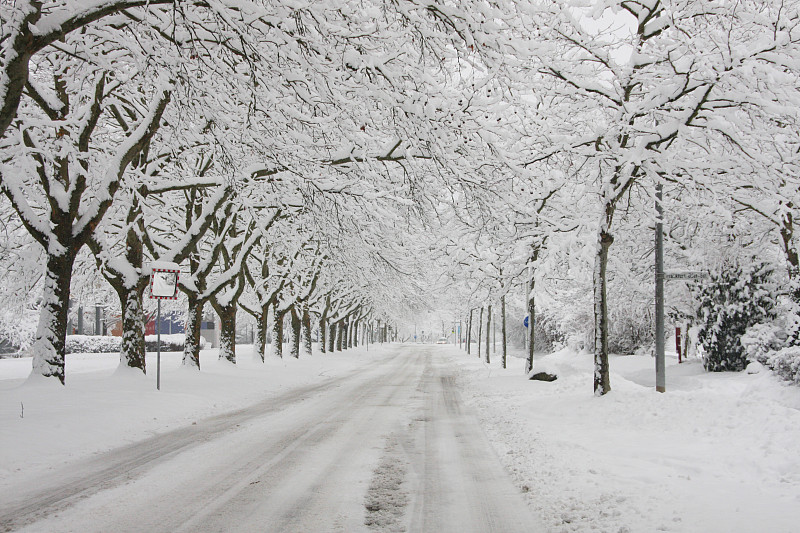 积雪的街道上图片下载