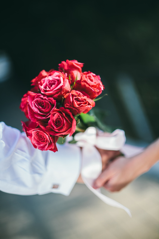 新婚夫妇手捧红玫瑰花束图片下载