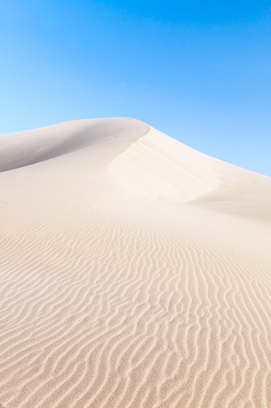 景观:日出时的沙漠沙丘，中国图片下载