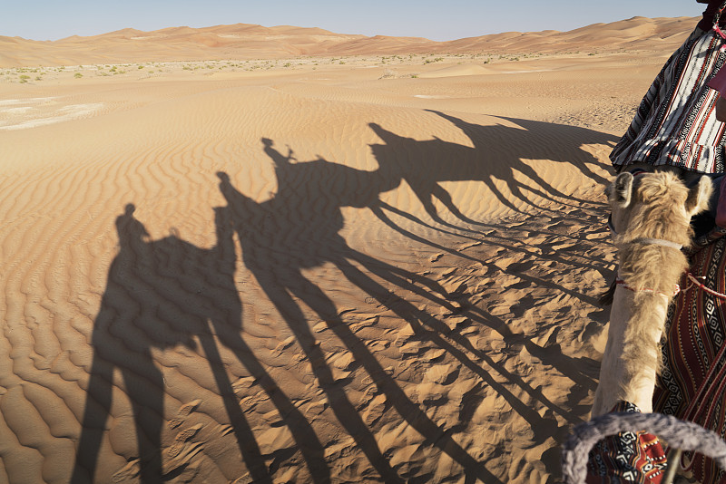 骆驼商队?沙漠中的阴影图片素材