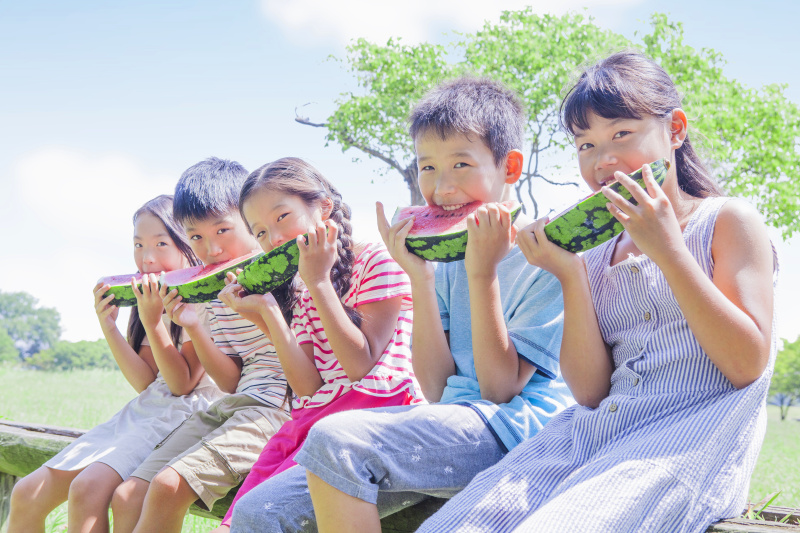 日本小学生吃西瓜图片下载