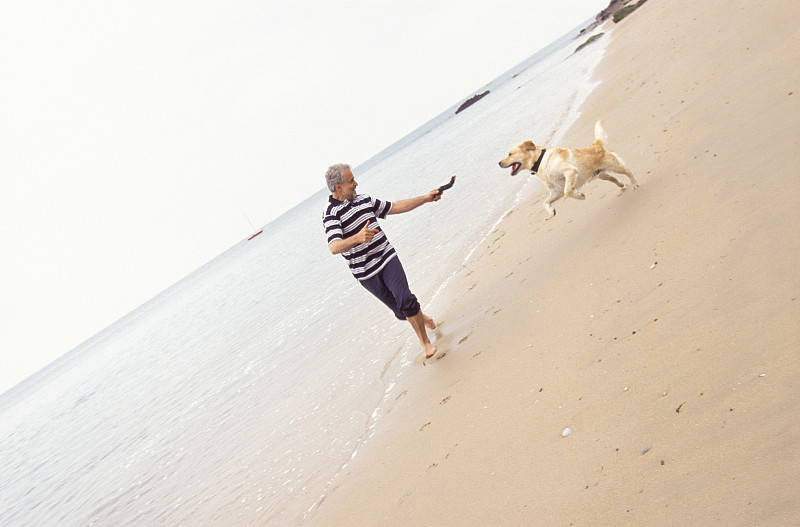 男子在海滩上和宠物狗玩耍图片下载
