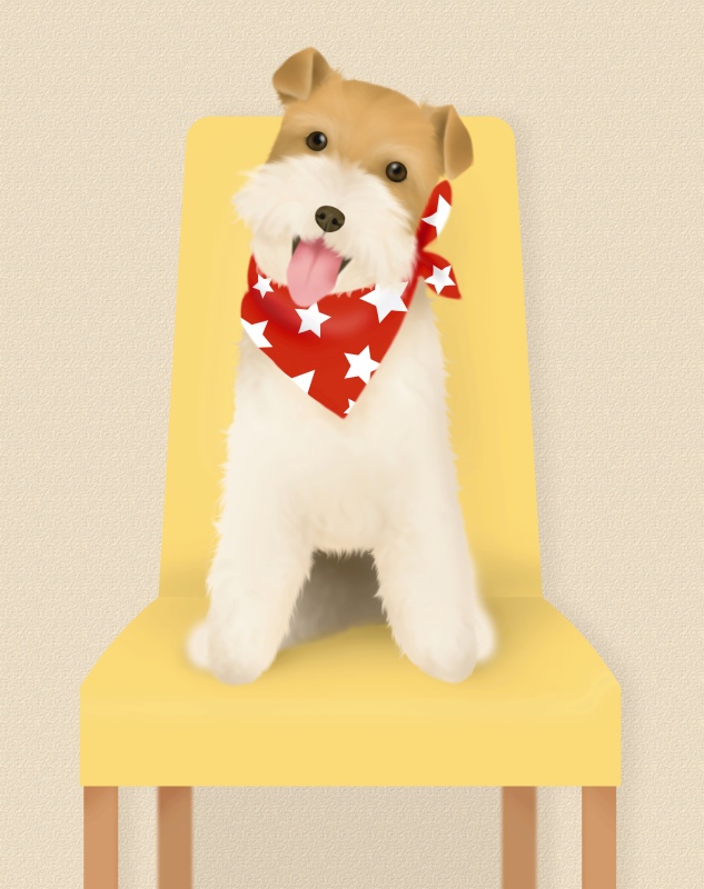 毛狐犬戴着围巾，坐在椅子上，正面观，棕色背景图片下载