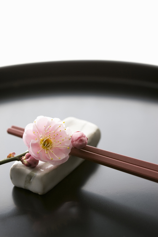 筷子和一盆梅花图片素材