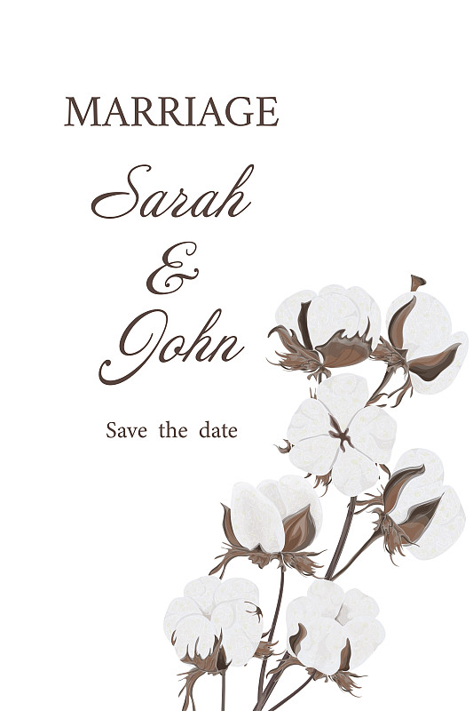 婚礼请柬用棉花花植物水彩画，孤立上白色。图片下载