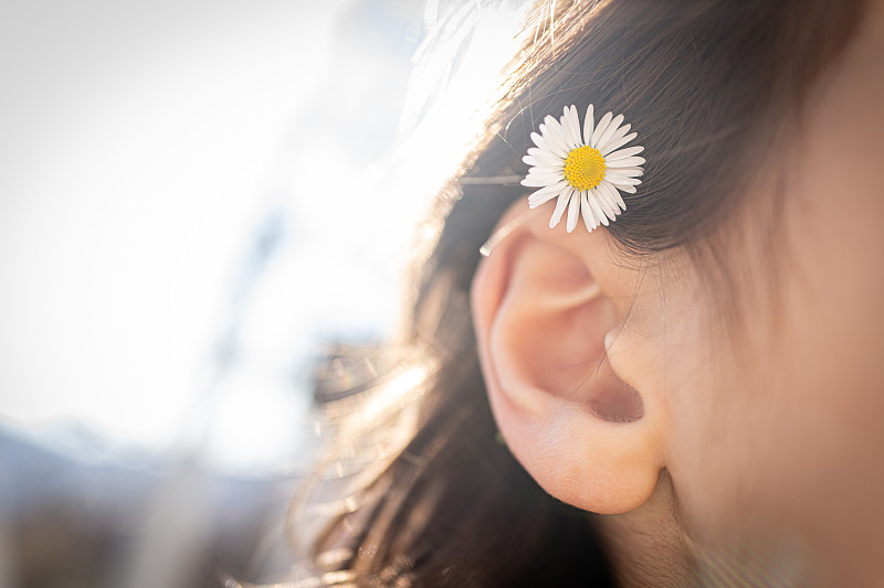 头在草地上，耳后是雏菊花，在阳光下图片下载