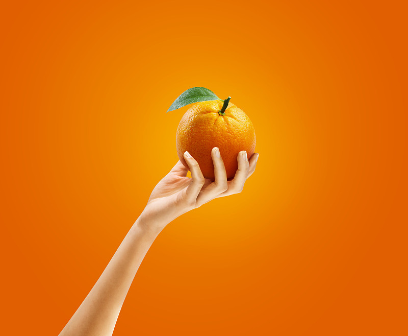 手拿橘子在橘子地上。很好的修饰。图片下载